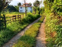 ویلا روستایی اسپیناز یک تالش ویلا روستایی اسپیناز یک تالش