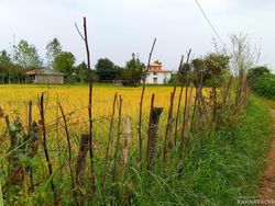 ویلا روستایی اسپیناز یک تالش ویلا روستایی اسپیناز یک تالش