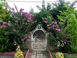 ویلا روستایی اسپیناز یک تالش ویلا روستایی اسپیناز یک تالش