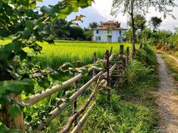 ویلا روستایی اسپیناز یک تالش ویلا روستایی اسپیناز یک تالش