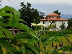 ویلا روستایی اسپیناز یک تالش ویلا روستایی اسپیناز یک تالش