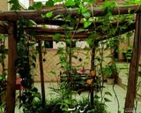 خانه سنتی دربستی حس خوب یزد خانه سنتی دربستی حس خوب یزد