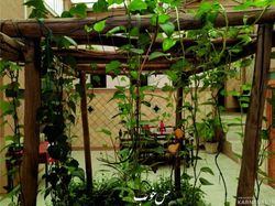 خانه سنتی دربستی حس خوب یزد خانه سنتی دربستی حس خوب یزد