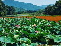 اقامتگاه دو خوابه اقامتگاه دو خوابه