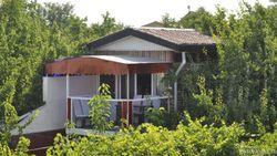 آلاچیق باغ بهشت آلاچیق باغ بهشت