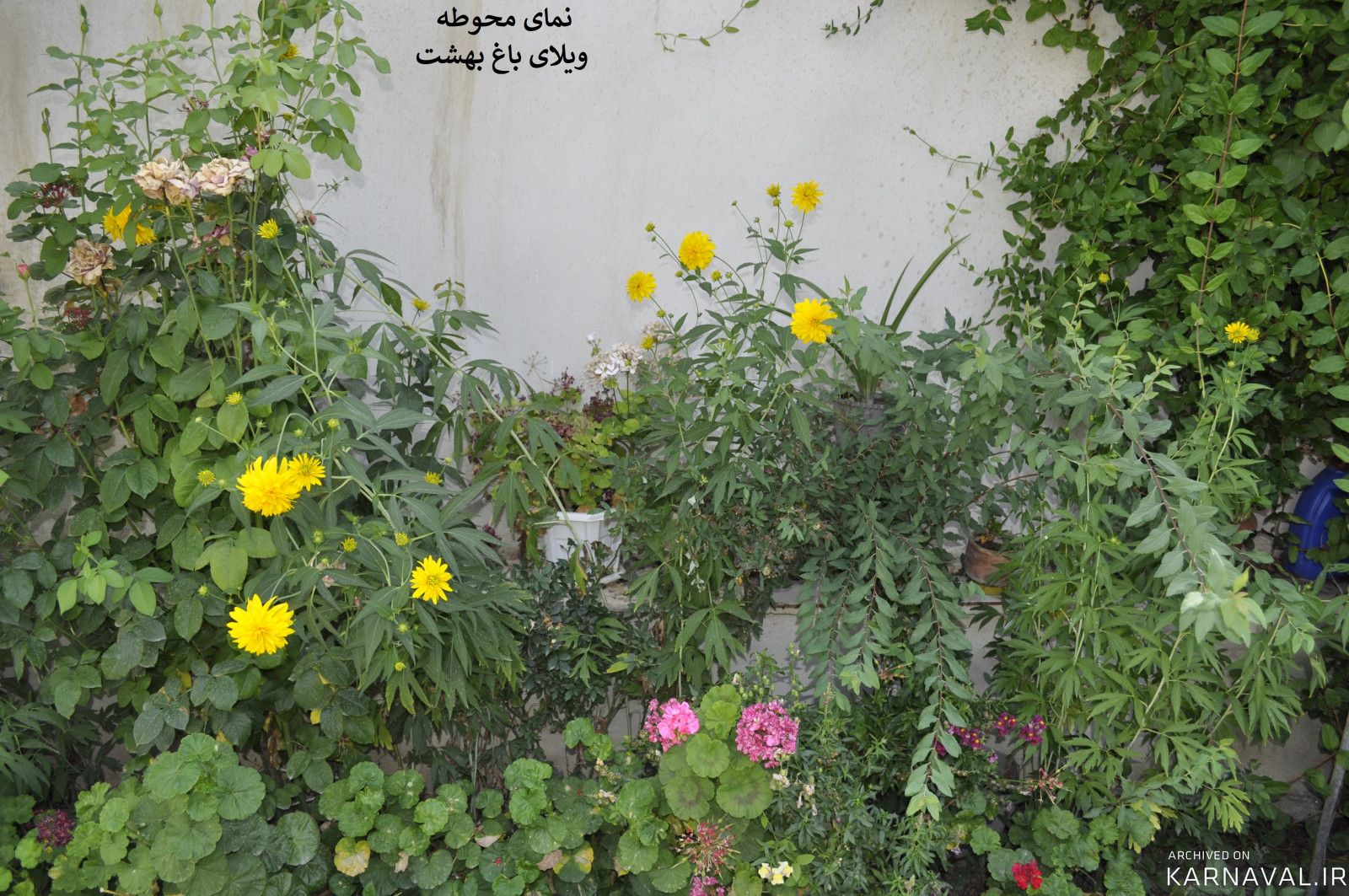 آلاچیق باغ بهشت