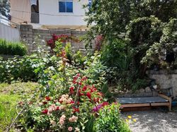 ویلای سنتی تک خواب در فیلبند ویلای سنتی تک خواب در فیلبند