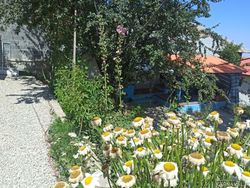 ویلای سنتی تک خواب در فیلبند ویلای سنتی تک خواب در فیلبند