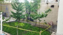 ویلا در باغ بهادران با استخر سرپوشیده با آب سرد ویلا در باغ بهادران با استخر سرپوشیده با آب سرد