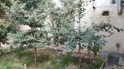 ویلا در باغ بهادران با استخر سرپوشیده با آب سرد ویلا در باغ بهادران با استخر سرپوشیده با آب سرد