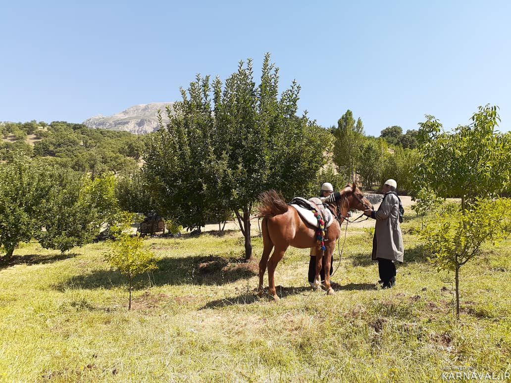 اقامتگاه بومگردی"بلوط تاف" طبقه پایین 2