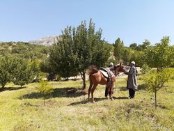 اقامتگاه بومگردی"بلوط تاف" طبقه پایین 2 اقامتگاه بومگردی"بلوط تاف" طبقه پایین 2