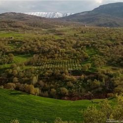 اقامتگاه بومگردی"بلوط تاف" طبقه پایین 2 اقامتگاه بومگردی"بلوط تاف" طبقه پایین 2