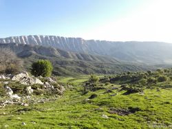 اقامتگاه بومگردی"بلوط تاف" طبقه پایین 2 اقامتگاه بومگردی"بلوط تاف" طبقه پایین 2