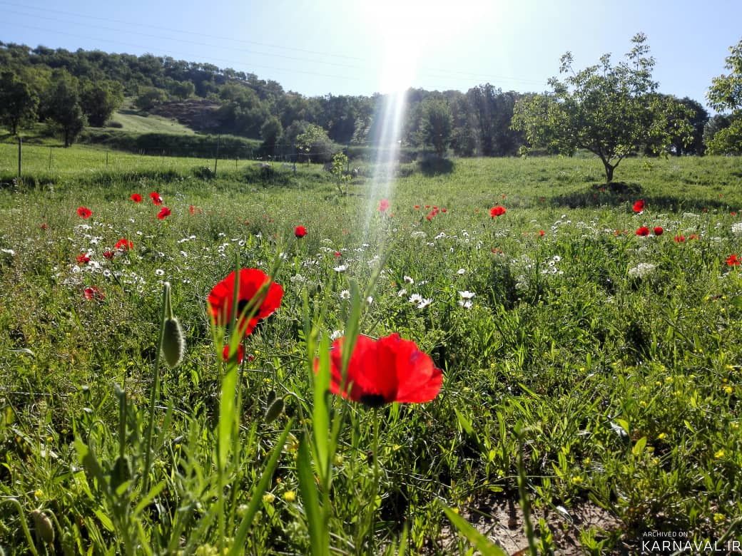 اقامتگاه بومگردی"بلوط تاف" طبقه پایین 2