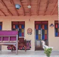 اقامتگاه بومگردی"بلوط تاف" طبقه پایین 2 اقامتگاه بومگردی"بلوط تاف" طبقه پایین 2