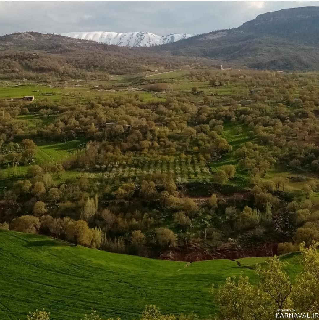 اقامتگاه بومگردی"بلوط تاف" طبقه پایین 3