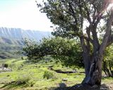 اقامتگاه بومگردی"بلوط تاف" طبقه پایین 3 اقامتگاه بومگردی"بلوط تاف" طبقه پایین 3