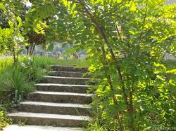 کلبه چوبی جنگلی ماهان ۳ کلبه چوبی جنگلی ماهان ۳