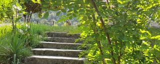 کلبه چوبی جنگلی ماهان ۳ کلبه چوبی جنگلی ماهان ۳