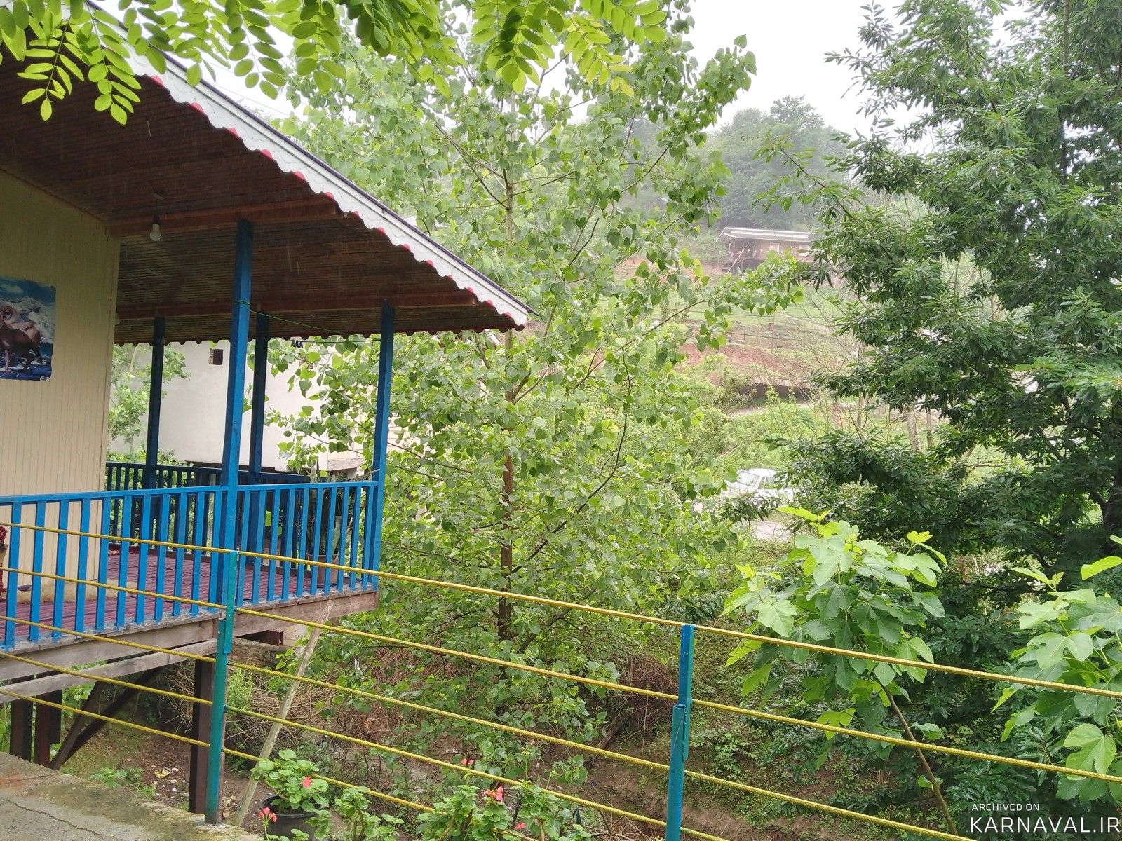کلبه چوبی جنگلی ماهان ۳