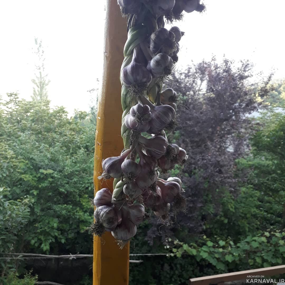 اقامتگاه بومگردی "مخمل بانو" اتاق 1