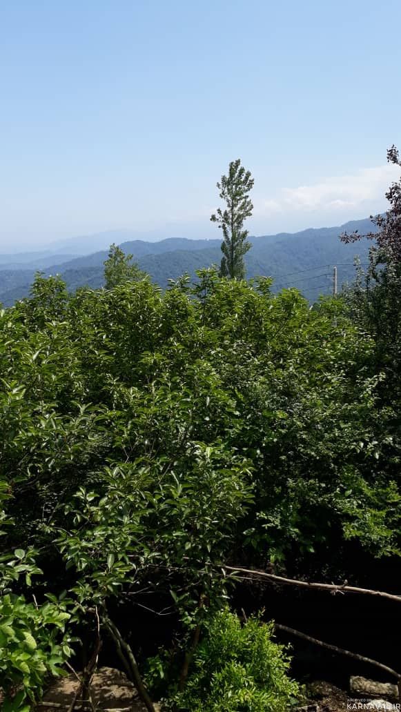 اقامتگاه بومگردی "مخمل بانو" اتاق 1