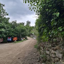 اقامتگاه بومگردی "مخمل بانو" اتاق 1 اقامتگاه بومگردی "مخمل بانو" اتاق 1