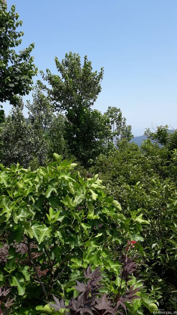 اقامتگاه بومگردی "مخمل بانو" اتاق 1