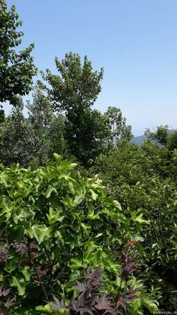 اقامتگاه بومگردی "مخمل بانو" اتاق 1 اقامتگاه بومگردی "مخمل بانو" اتاق 1