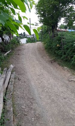 اقامتگاه بومگردی "مخمل بانو" اتاق 1 اقامتگاه بومگردی "مخمل بانو" اتاق 1