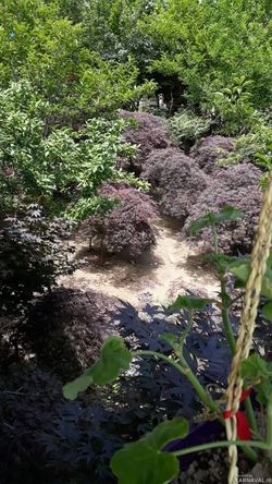 اقامتگاه بومگردی "مخمل بانو" اتاق 1 اقامتگاه بومگردی "مخمل بانو" اتاق 1