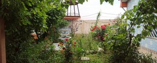 ویلا با حیاطی زیبا ویلا با حیاطی زیبا