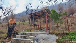 کلبه چوبی و جنگلی صفری طبقه اول کلبه چوبی و جنگلی صفری طبقه اول