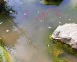 اقامتگاه بومگردی "مشتی مریم" طبقه اول اقامتگاه بومگردی "مشتی مریم" طبقه اول