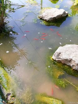 اقامتگاه بومگردی "مشتی مریم" طبقه اول اقامتگاه بومگردی "مشتی مریم" طبقه اول