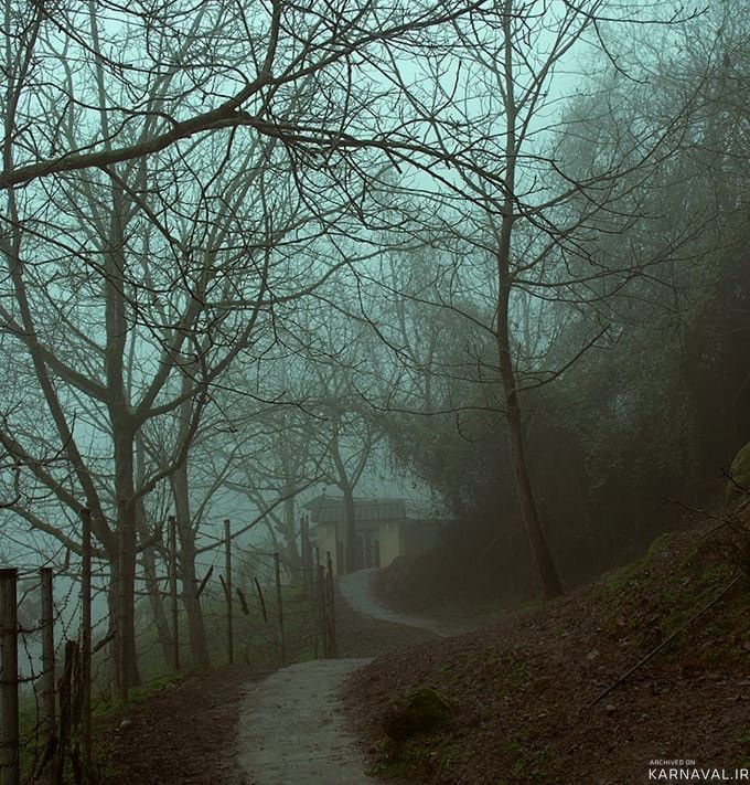 کلبه جنگلی لیمه سرا