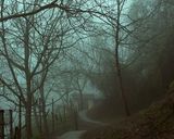 کلبه جنگلی لیمه سرا کلبه جنگلی لیمه سرا