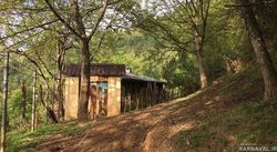 کلبه جنگلی لیمه سرا کلبه جنگلی لیمه سرا