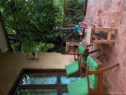 کلبه جنگلی لیمه سرا کلبه جنگلی لیمه سرا