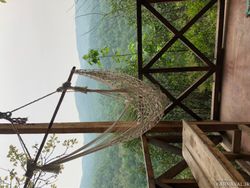 کلبه جنگلی لیمه سرا کلبه جنگلی لیمه سرا