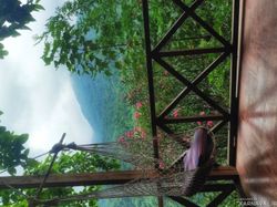 کلبه جنگلی لیمه سرا کلبه جنگلی لیمه سرا