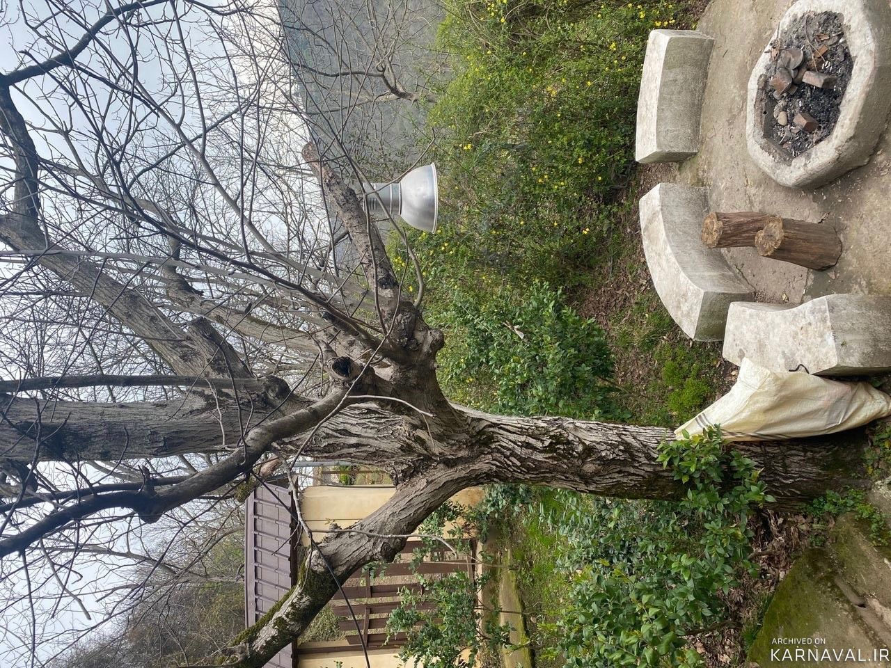 کلبه جنگلی لیمه سرا