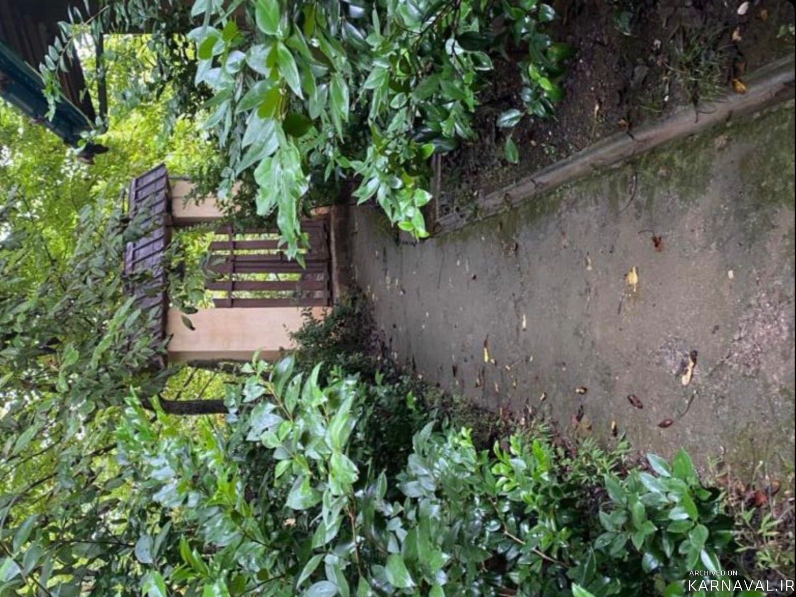 کلبه جنگلی لیمه سرا