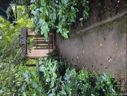 کلبه جنگلی لیمه سرا کلبه جنگلی لیمه سرا