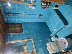 کلبه جنگلی لیمه سرا کلبه جنگلی لیمه سرا