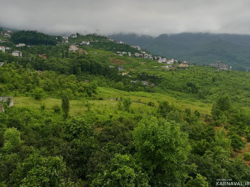 عروس سفید (یک) بکر و جنگلی