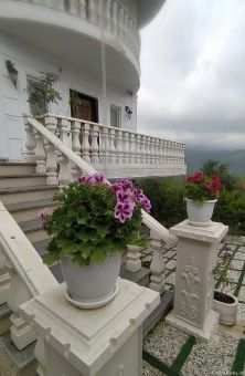 عروس سفید (یک) بکر و جنگلی