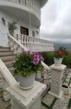 عروس سفید (یک) بکر و جنگلی عروس سفید (یک) بکر و جنگلی