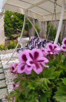 عروس سفید (یک) بکر و جنگلی